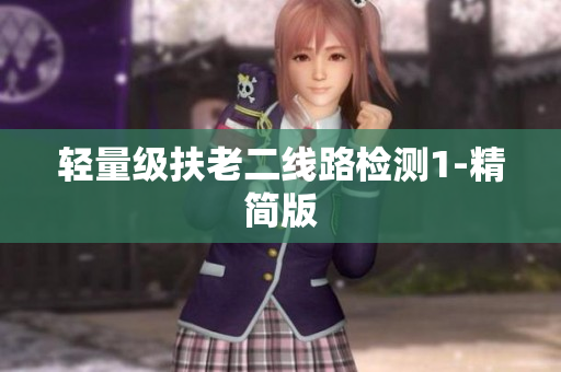 轻量级扶老二线路检测1-精简版
