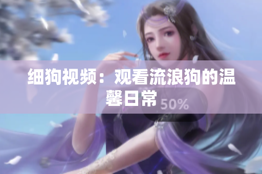 细狗视频：观看流浪狗的温馨日常