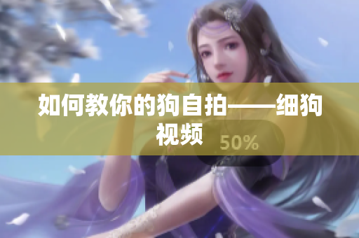 如何教你的狗自拍——细狗视频