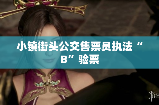 小镇街头公交售票员执法“B”验票