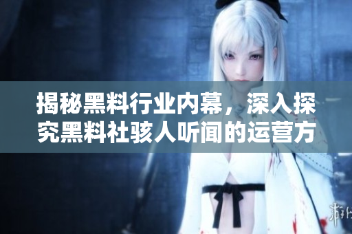 揭秘黑料行业内幕，深入探究黑料社骇人听闻的运营方式