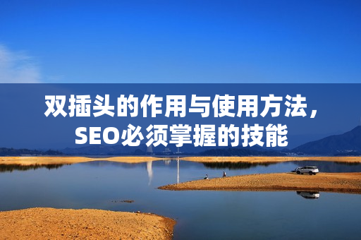 双插头的作用与使用方法，SEO必须掌握的技能