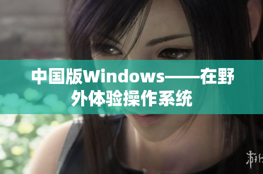 中国版Windows——在野外体验操作系统