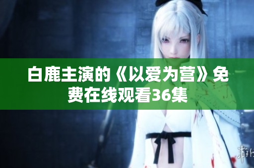 白鹿主演的《以爱为营》免费在线观看36集