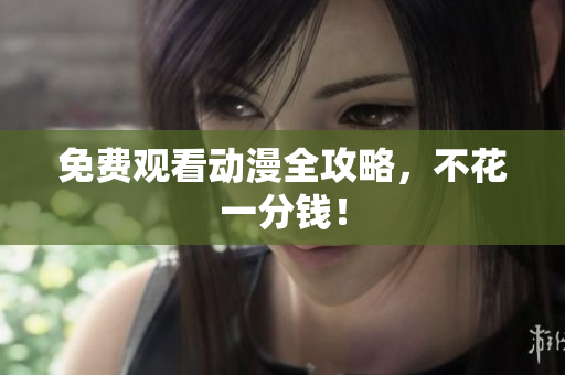 免费观看动漫全攻略，不花一分钱！