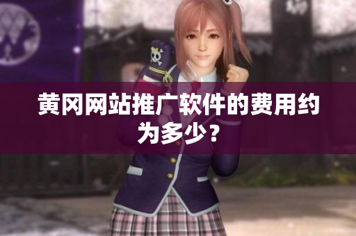 黄冈网站推广软件的费用约为多少？