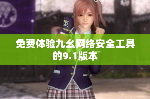 免费体验九幺网络安全工具的9.1版本
