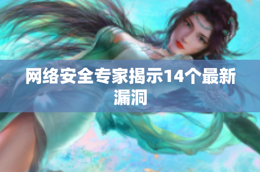 网络安全专家揭示14个最新漏洞