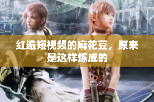 红遍短视频的麻花豆，原来是这样炼成的