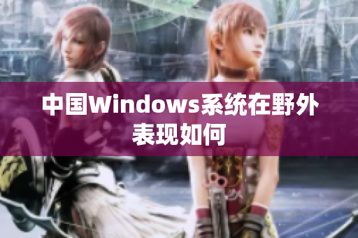 中国Windows系统在野外表现如何