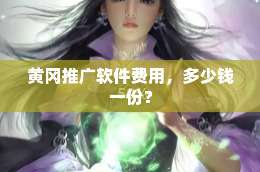 黄冈推广软件费用，多少钱一份？