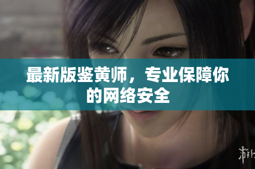 最新版鉴黄师，专业保障你的网络安全