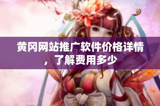 黄冈网站推广软件价格详情，了解费用多少