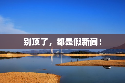 别顶了，都是假新闻！