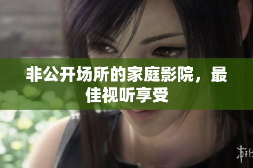 非公开场所的家庭影院，最佳视听享受