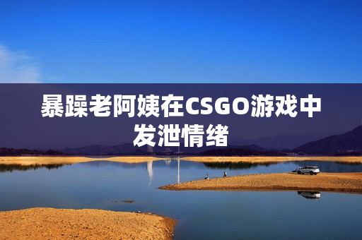 暴躁老阿姨在CSGO游戏中发泄情绪