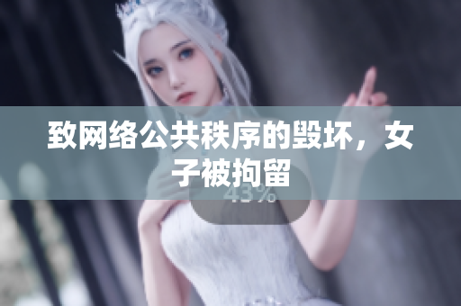 致网络公共秩序的毁坏，女子被拘留