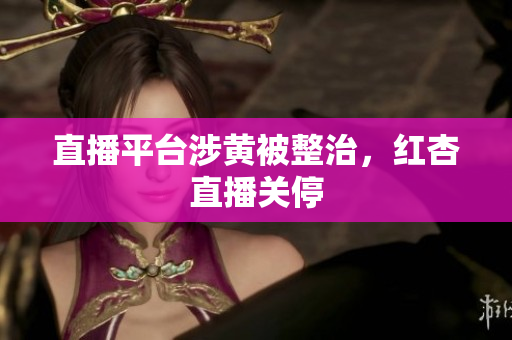 直播平台涉黄被整治，红杏直播关停