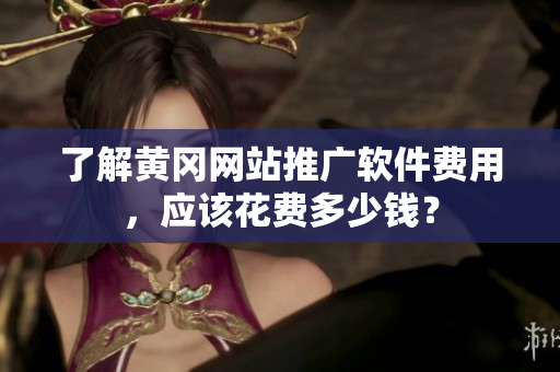 了解黄冈网站推广软件费用，应该花费多少钱？