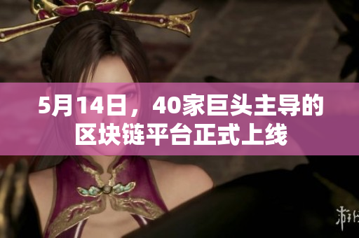 5月14日，40家巨头主导的区块链平台正式上线