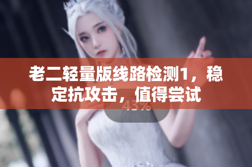 老二轻量版线路检测1，稳定抗攻击，值得尝试