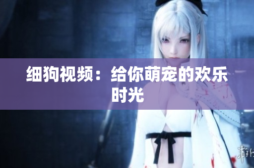 细狗视频：给你萌宠的欢乐时光