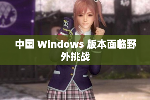 中国 Windows 版本面临野外挑战