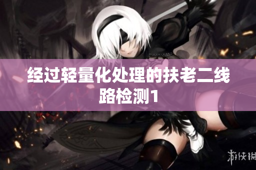 经过轻量化处理的扶老二线路检测1