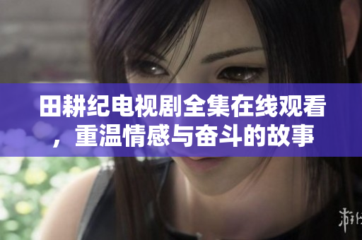田耕纪电视剧全集在线观看，重温情感与奋斗的故事