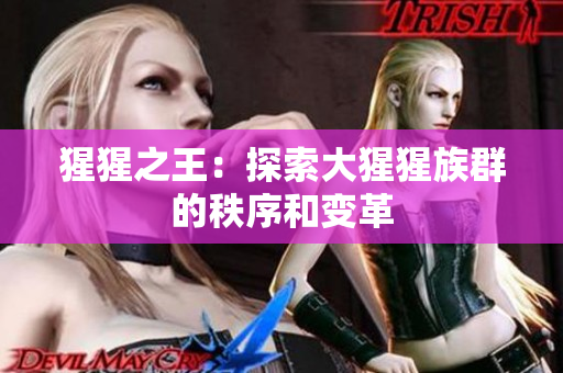 猩猩之王：探索大猩猩族群的秩序和变革