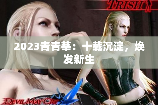 2023青青莘：十载沉淀，焕发新生