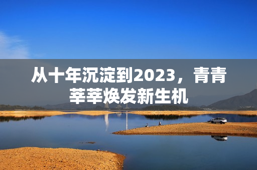 从十年沉淀到2023，青青莘莘焕发新生机