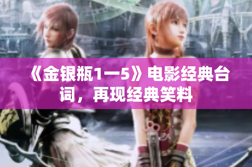 《金银瓶1一5》电影经典台词，再现经典笑料