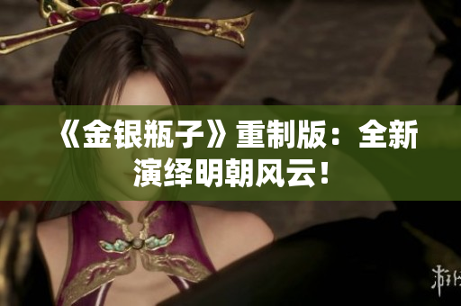 《金银瓶子》重制版：全新演绎明朝风云！