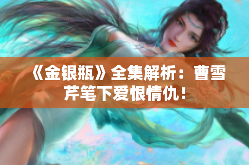 《金银瓶》全集解析：曹雪芹笔下爱恨情仇！