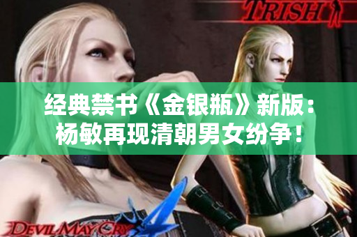经典禁书《金银瓶》新版：杨敏再现清朝男女纷争！