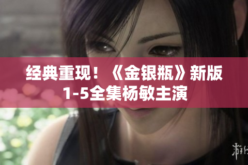 经典重现！《金银瓶》新版1-5全集杨敏主演