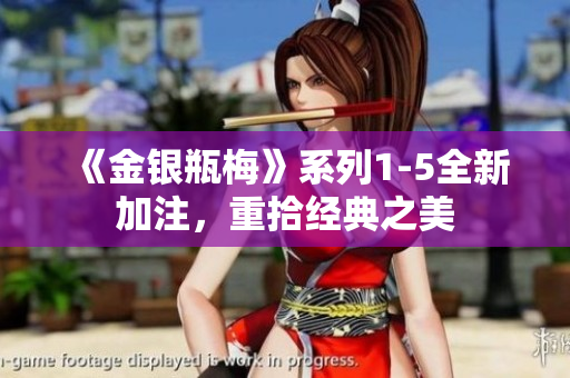 《金银瓶梅》系列1-5全新加注，重拾经典之美