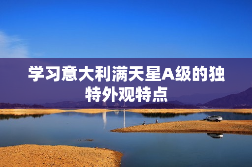 学习意大利满天星A级的独特外观特点