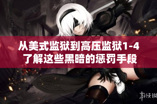 从美式监狱到高压监狱1-4 了解这些黑暗的惩罚手段