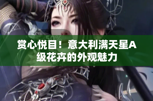 赏心悦目！意大利满天星A级花卉的外观魅力