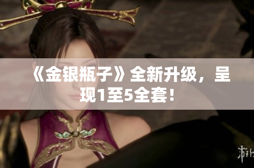 《金银瓶子》全新升级，呈现1至5全套！