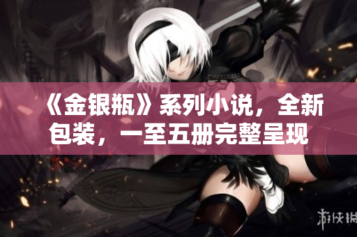 《金银瓶》系列小说，全新包装，一至五册完整呈现