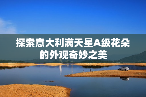 探索意大利满天星A级花朵的外观奇妙之美