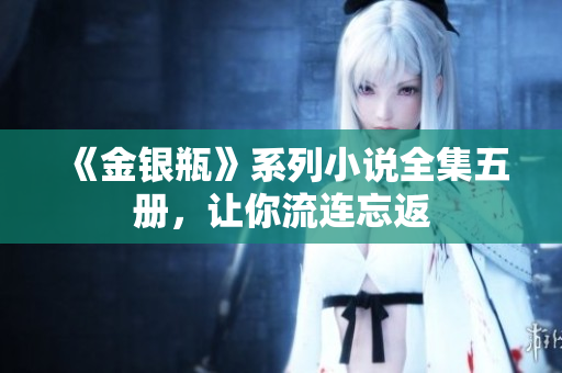 《金银瓶》系列小说全集五册，让你流连忘返