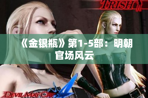 《金银瓶》第1-5部：明朝官场风云