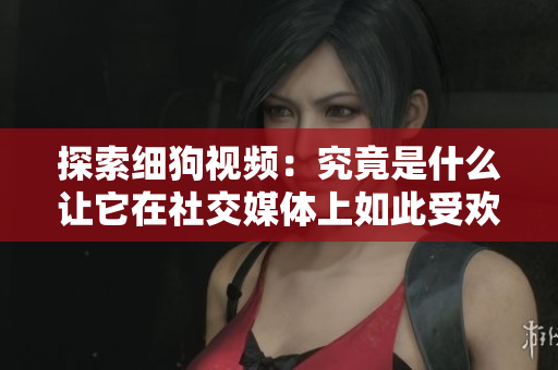 探索细狗视频：究竟是什么让它在社交媒体上如此受欢迎？