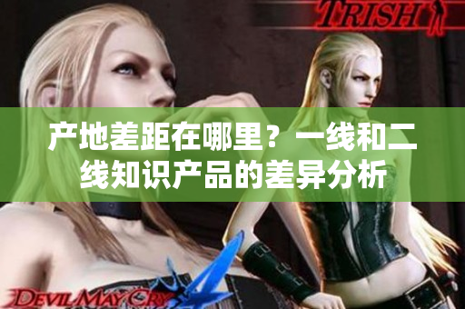 产地差距在哪里？一线和二线知识产品的差异分析