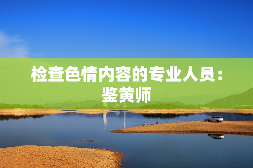 检查色情内容的专业人员：鉴黄师