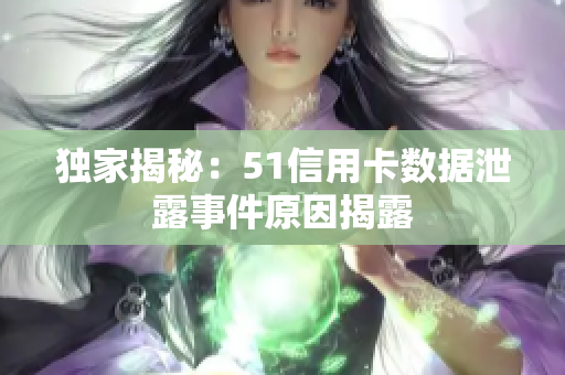 独家揭秘：51信用卡数据泄露事件原因揭露